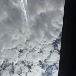 Meet your Posher, Celeste